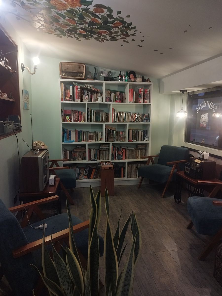 Sala de lectura con estantería de libros, sillones azules y techo pintado